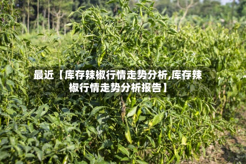 最近【库存辣椒行情走势分析,库存辣椒行情走势分析报告】