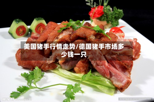 美国猪手行情走势/德国猪手市场多少钱一只-第2张图片