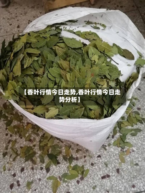【香叶行情今日走势,香叶行情今日走势分析】-第3张图片