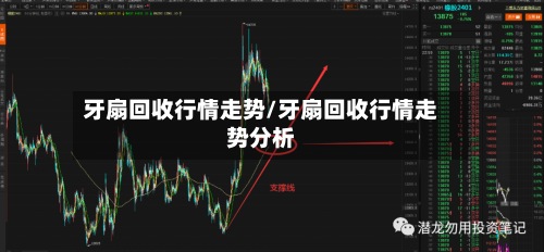 牙扇回收行情走势/牙扇回收行情走势分析