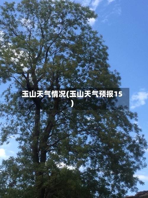 玉山天气情况(玉山天气预报15)