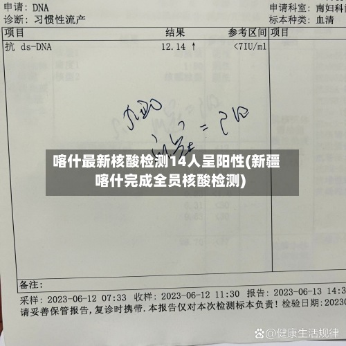 喀什最新核酸检测14人呈阳性(新疆喀什完成全员核酸检测)-第2张图片