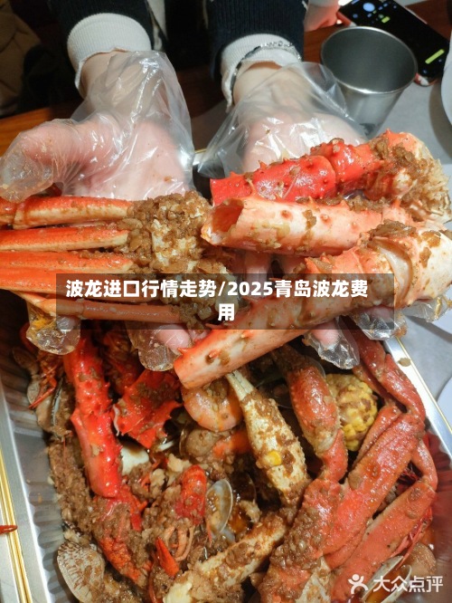 波龙进口行情走势/2025青岛波龙费用