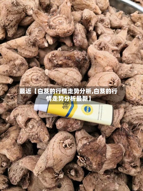最近【白芨的行情走势分析,白芨的行情走势分析最新】