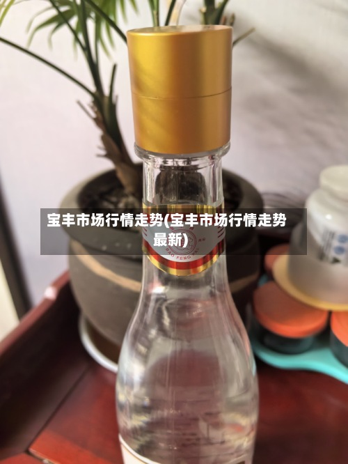 宝丰市场行情走势(宝丰市场行情走势最新)-第2张图片
