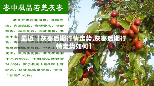 最近【灰枣后期行情走势,灰枣后期行情走势如何】-第3张图片