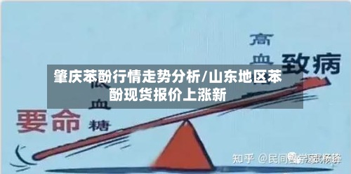 肇庆苯酚行情走势分析/山东地区苯酚现货报价上涨新-第3张图片