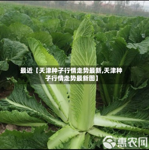 最近【天津种子行情走势最新,天津种子行情走势最新图】-第2张图片
