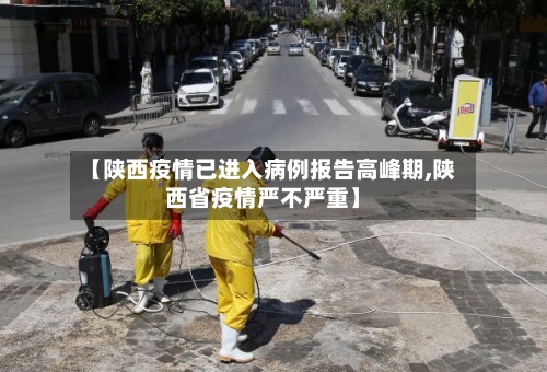 【陕西疫情已进入病例报告高峰期,陕西省疫情严不严重】-第2张图片