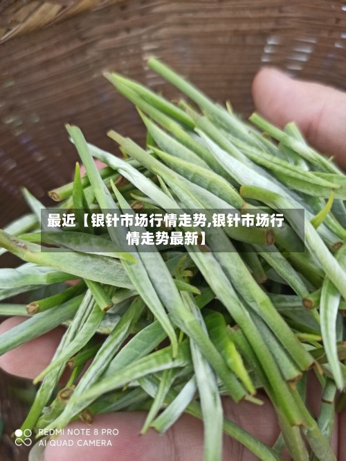 最近【银针市场行情走势,银针市场行情走势最新】-第3张图片