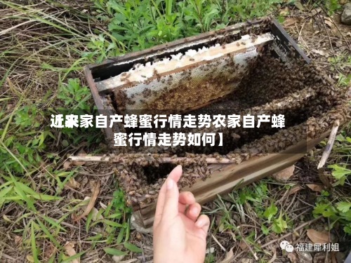 近来
【农家自产蜂蜜行情走势农家自产蜂蜜行情走势如何】-第2张图片