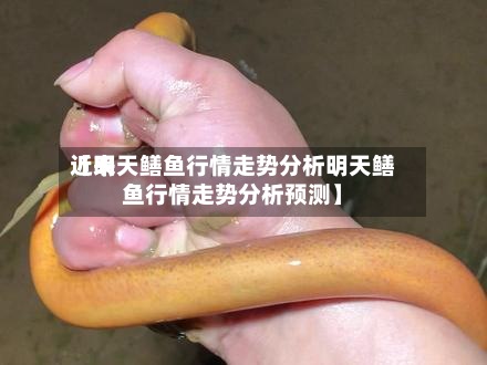 近来
【明天鳝鱼行情走势分析明天鳝鱼行情走势分析预测】