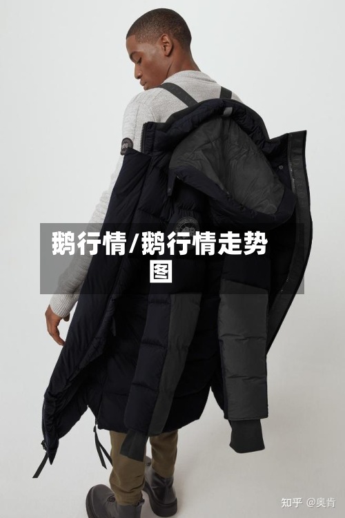 鹅行情/鹅行情走势图