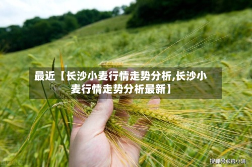 最近【长沙小麦行情走势分析,长沙小麦行情走势分析最新】