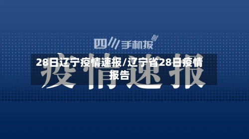 28日辽宁疫情速报/辽宁省28日疫情报告-第2张图片