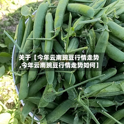 关于【今年云南豌豆行情走势,今年云南豌豆行情走势如何】-第2张图片