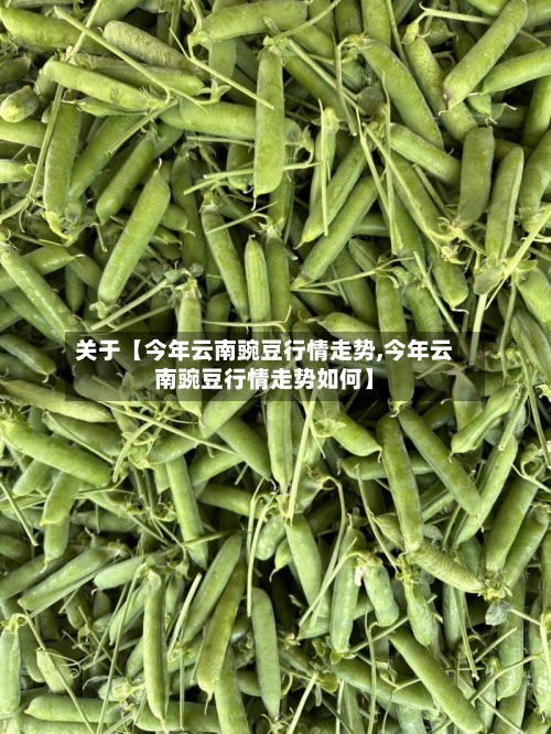 关于【今年云南豌豆行情走势,今年云南豌豆行情走势如何】-第3张图片