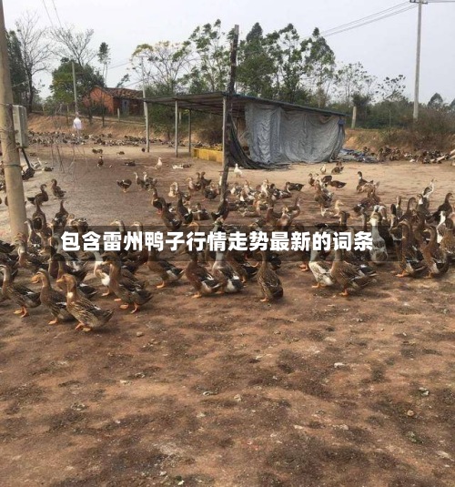 包含雷州鸭子行情走势最新的词条