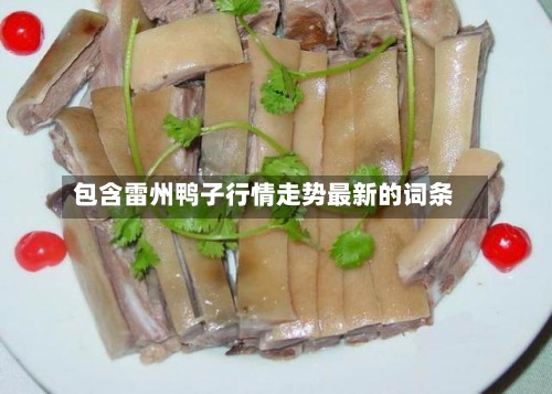 包含雷州鸭子行情走势最新的词条-第2张图片