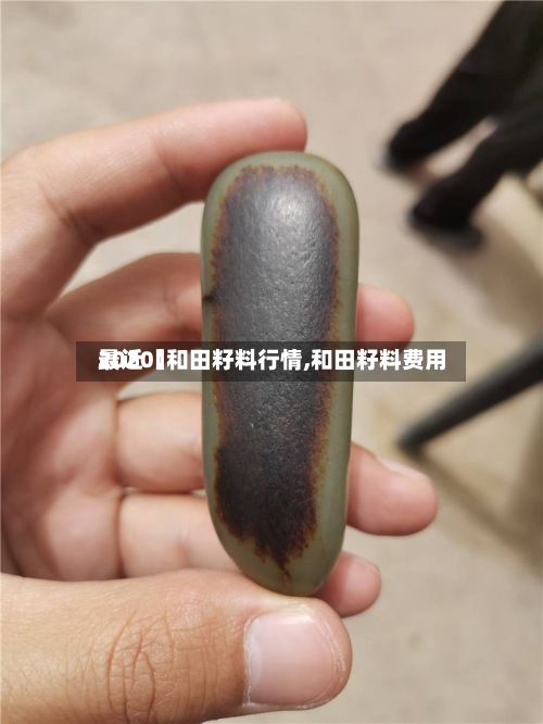 最近【和田籽料行情,和田籽料费用
2020】-第2张图片