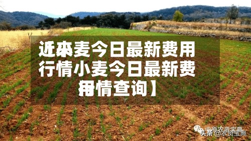 近来
【小麦今日最新费用
行情小麦今日最新费用
行情查询】-第2张图片