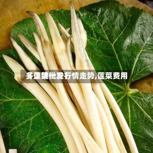 【莲菜批发行情走势,莲菜费用
多少钱一斤】