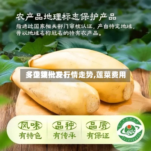 【莲菜批发行情走势,莲菜费用多少钱一斤】-第3张图片