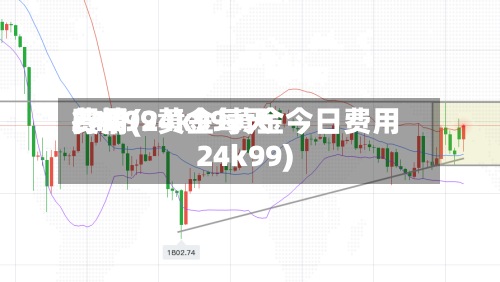 24k99黄金每天费用行情(24k99黄金今日费用24k99)-第2张图片