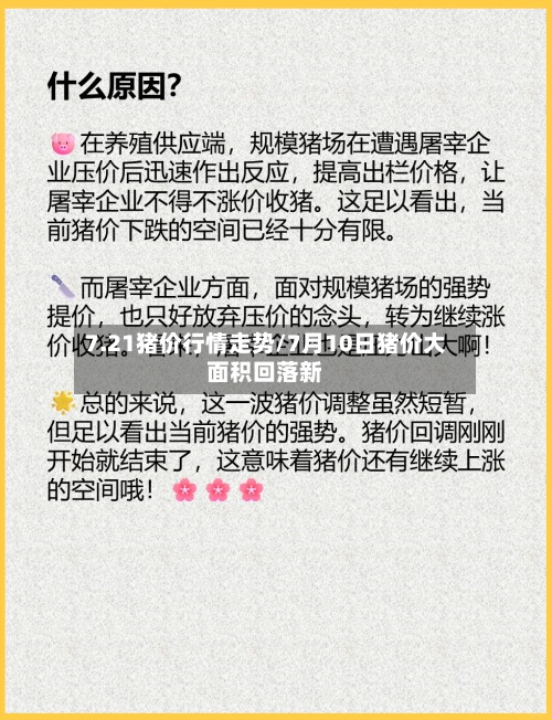 7.21猪价行情走势/7月10日猪价大面积回落新-第3张图片