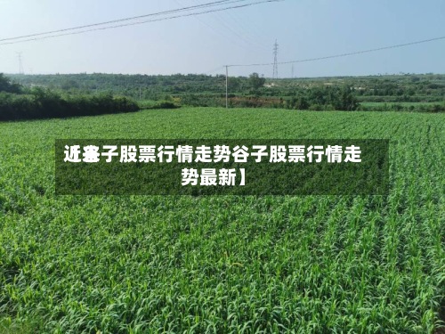 近来【谷子股票行情走势谷子股票行情走势最新】
