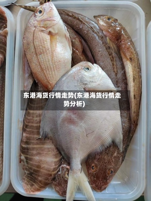 东港海货行情走势(东港海货行情走势分析)-第2张图片