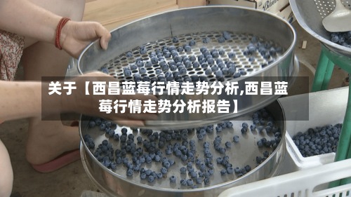 关于【西昌蓝莓行情走势分析,西昌蓝莓行情走势分析报告】