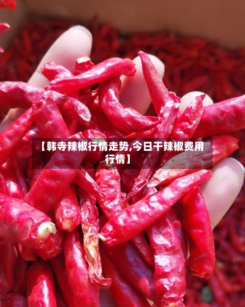 【韩寺辣椒行情走势,今日干辣椒费用行情】-第2张图片