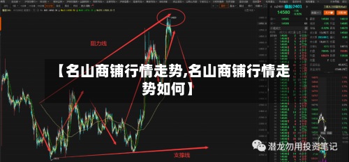 【名山商铺行情走势,名山商铺行情走势如何】-第2张图片
