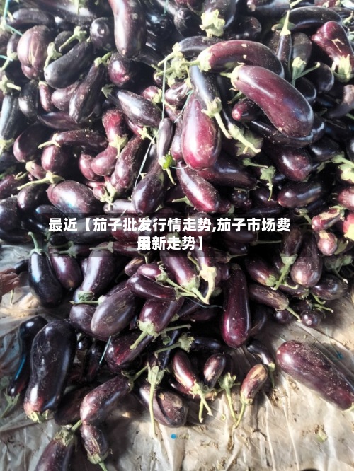 最近【茄子批发行情走势,茄子市场费用
最新走势】-第2张图片