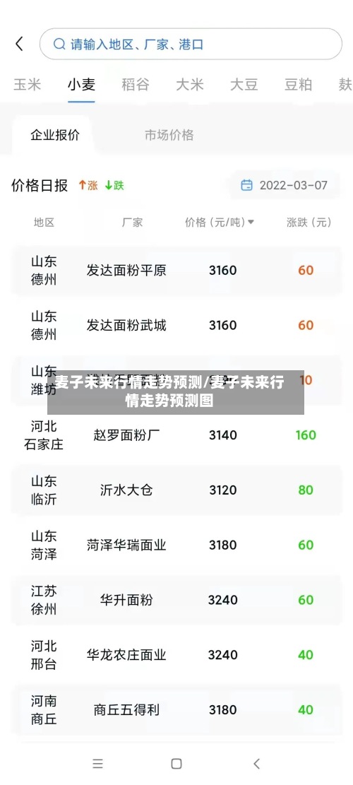 麦子未来行情走势预测/麦子未来行情走势预测图-第3张图片