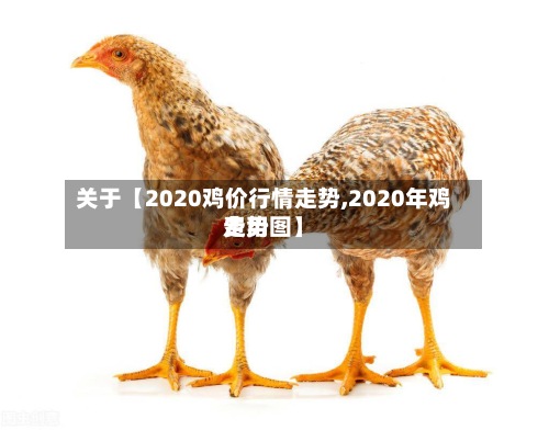 关于【2020鸡价行情走势,2020年鸡费用走势图】-第2张图片