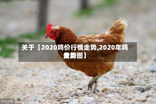 关于【2020鸡价行情走势,2020年鸡费用
走势图】