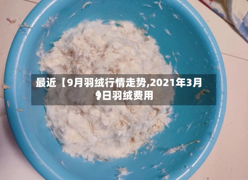 最近【9月羽绒行情走势,2021年3月9日羽绒费用
】