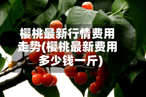 樱桃最新行情费用
走势(樱桃最新费用
多少钱一斤)