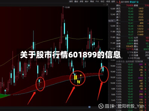 关于股市行情601899的信息-第2张图片