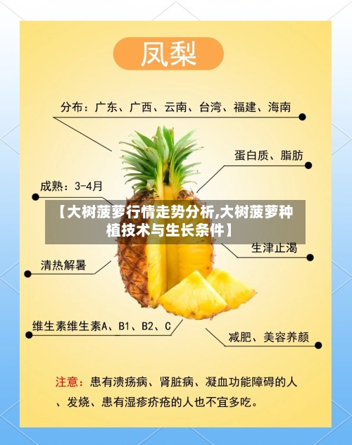 【大树菠萝行情走势分析,大树菠萝种植技术与生长条件】