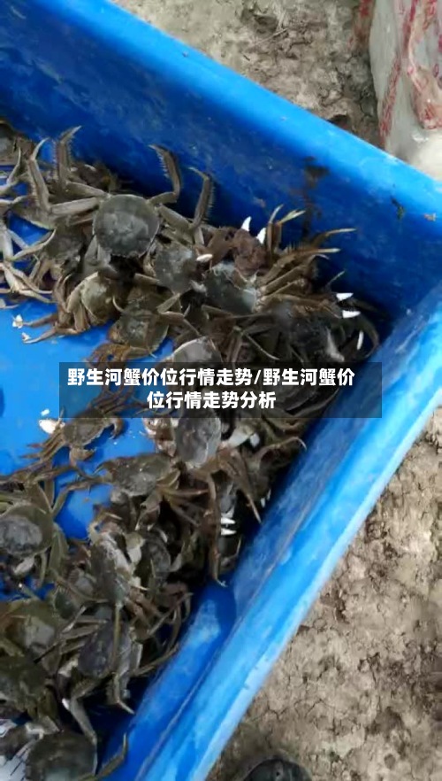 野生河蟹价位行情走势/野生河蟹价位行情走势分析