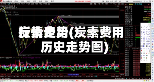 炭素费用
行情走势(炭素费用
历史走势图)-第2张图片
