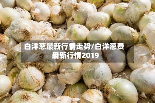 白洋葱最新行情走势/白洋葱费用最新行情2019