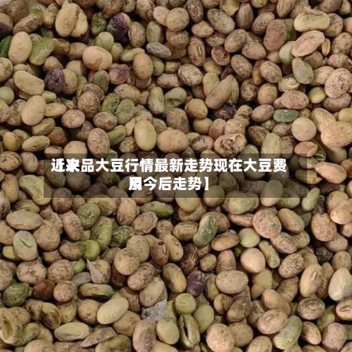 近来
【次品大豆行情最新走势现在大豆费用
及今后走势】