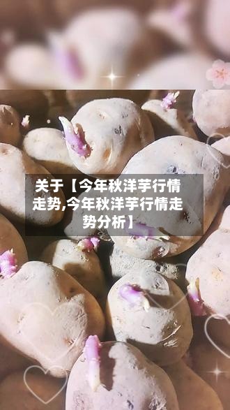 关于【今年秋洋芋行情走势,今年秋洋芋行情走势分析】