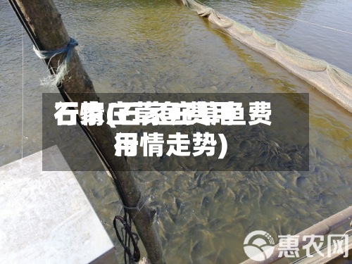 石家庄草鱼费用行情(石家庄草鱼费用行情走势)
