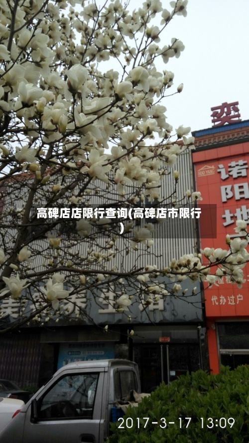 高碑店店限行查询(高碑店市限行)