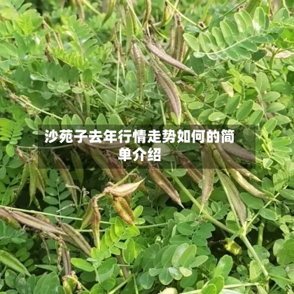 沙苑子去年行情走势如何的简单介绍
